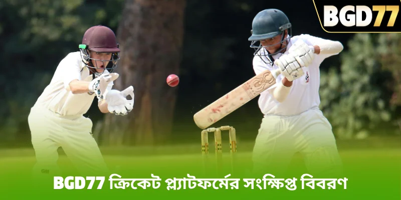 BGD77 ক্রিকেট প্ল্যাটফর্মের সংক্ষিপ্ত বিবরণ
