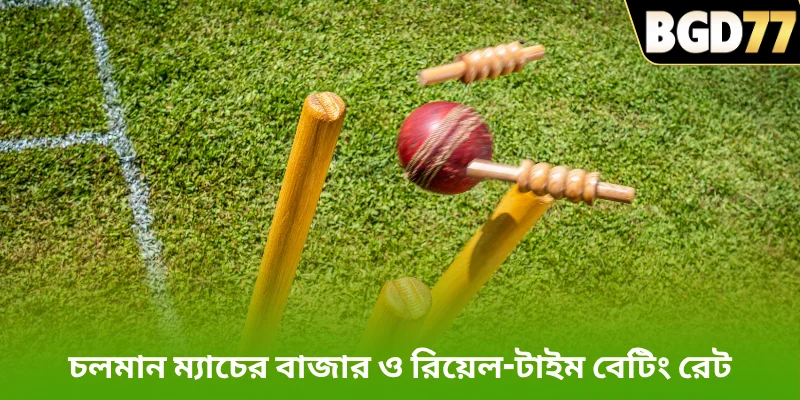 চলমান ম্যাচের বাজার ও রিয়েল-টাইম বেটিং রেট