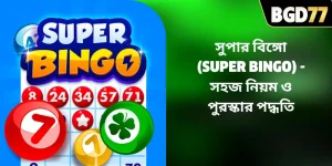 সুপার বিঙ্গো (Super Bingo) – সহজ নিয়ম ও পুরস্কার পদ্ধতি