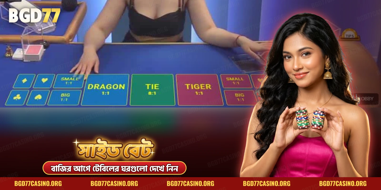 সাইড বেটের ঘরসহ ড্রাগন টাইগার টেবিলের বাজির ছক